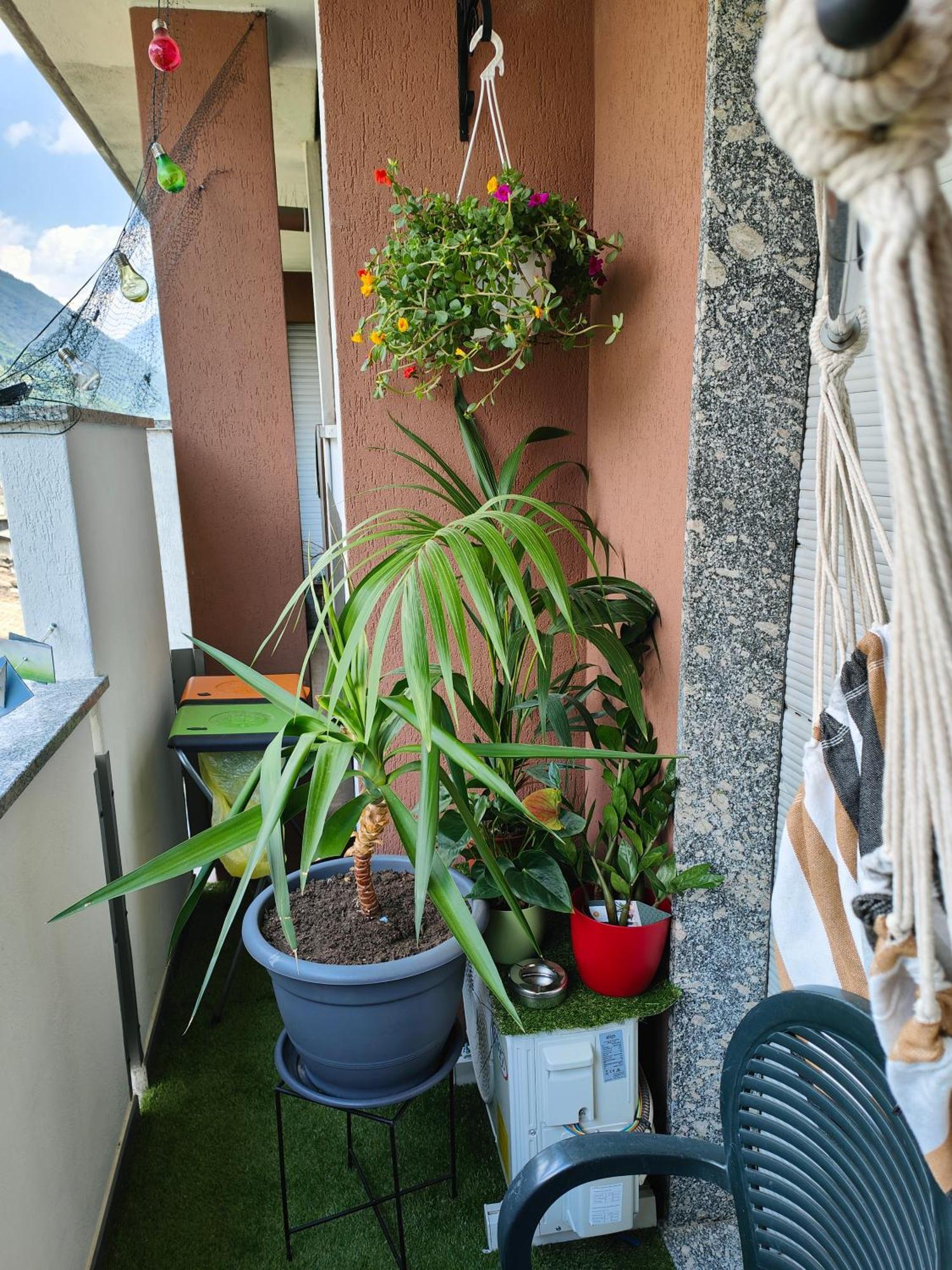 Apartamento Alfiumea Tirano Exterior foto